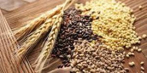 Food Grains