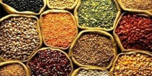 Indian Pulses