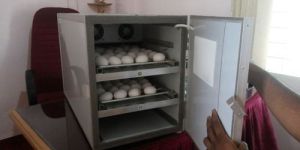 Egg Incubators