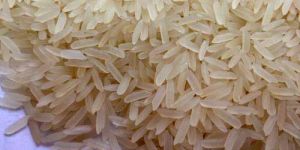 PR 14 Rice
