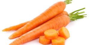 Fresh Carrot