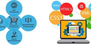Web Application Development Services