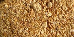 Soybean Meal
