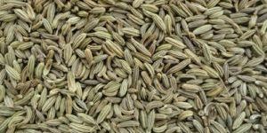 Fennel Seeds