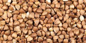 Buckwheat Seeds