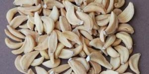 Dehydrated Garlic