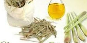 Lemon Grass Oil