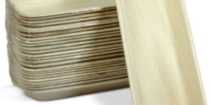 Disposable Dinnerware