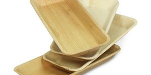 Eco Friendly Disposable Plates