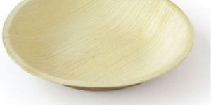 Areca Palm Leaf Bowl