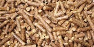 Biomass Pellet