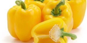 Yellow Capsicum