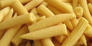 Baby Corn