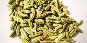 Fennel Seeds