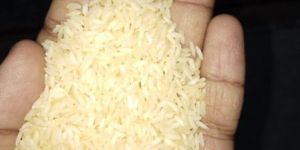 SONA MASOORI(INDIAN)RICE