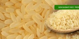 Non Basmati Rice