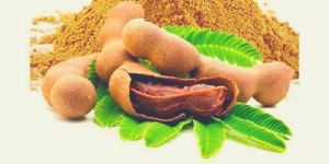 Dehydrated Tamarind Powder