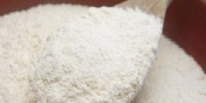 Dehydrated White Onion Powder