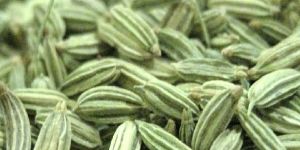 Fennel Seeds