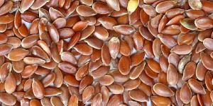 Flax Seed