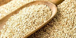 Sesame Seeds