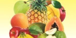 Dehydrated Fruits Pulps