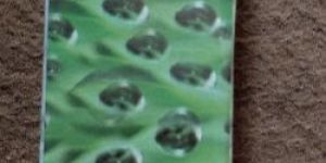 Mositear Eye Drops