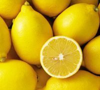 Fresh Lemon