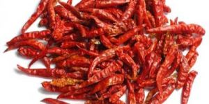 Dried Red Chillies