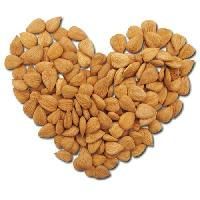 Bitter Apricot Kernels