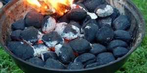 Coconut Shell Charcoal Briquettes