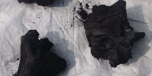 Root Wood Charcoal