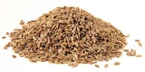 Dill Seeds