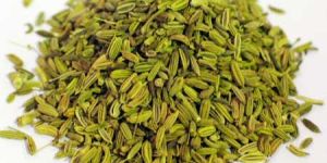 Fennel Seeds