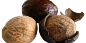 Nutmeg