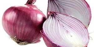 Onion