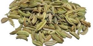 Cumin Seeds