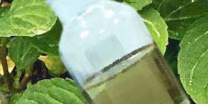 Peppermint Oil