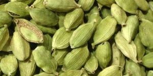 Green Cardamom