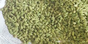 GREEN CARDAMOM 7MM