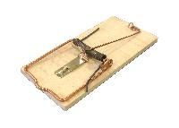 Rat Trap