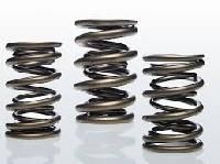 Engine Valve Spring
