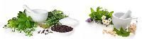 Herbal Raw Materials