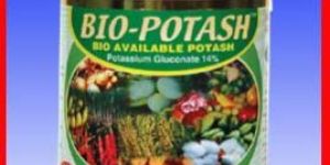 PRATHISTA BIO POTASH