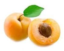 APRICOT KERNEL OIL
