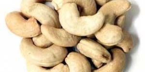 Cashew Nuts
