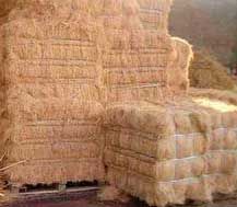 Coir Fiber
