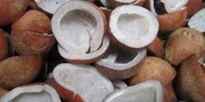 Dried Coconuts