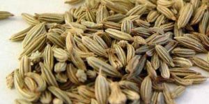 Fennel Seeds