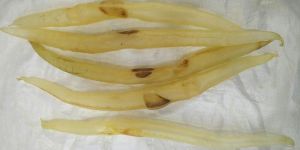 Dried Eel Fish Maw